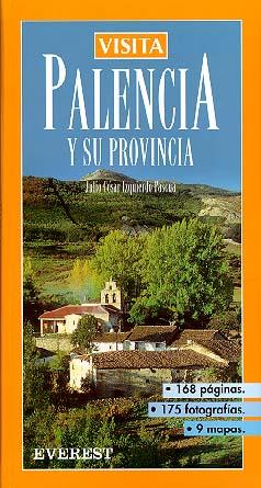 PALENCIA Y SU PROVINCIA VISITA | 9788424136123 | IZQUIERDO PASCUA, JULIO CESAR