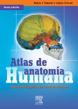 ATLAS DE ANATOMIA HUMANA ESTUDIO FOTOGRAFICO DEL CUERPO HUMA | 9788481749960 | YOKOCHI / LÜTJEN-DRECOLL / ROHEN