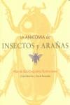 ANATOMIA DE INSECTOS Y ARAÑAS, LA | 9788495677334 | BEVERLEY, CLAIRE