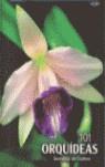 101 ORQUIDEAS: SECRETOS DE CULTIVO | 9789898144164 | VARIOS