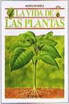 VIDA DE LAS PLANTAS,LA | 9788434214651 | JULIVERT, MARIA ANGELS