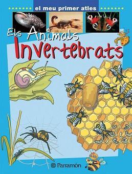 ANIMALS INVERTEBRATS ELS | 9788434227149 | MARCET, XAVIER