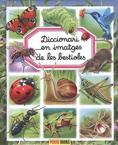 DICCIONARI EN IMATGES DE LES BESTIOLES | 9788491672203 | VV.AA.