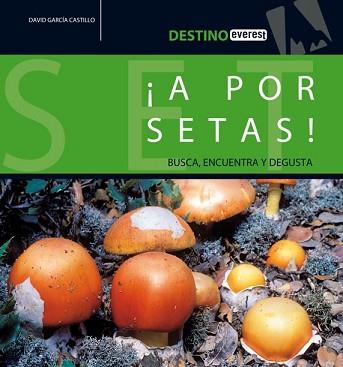 A POR SETAS BUSCA ENCUENTRA Y DEGUSTA | 9788424105198 | GARCIA CASTILLO, DAVID