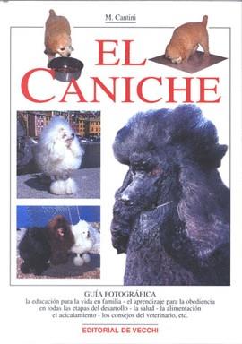 CANICHE, EL (CARTONE) | 9788431527891 | CANTINI, M.