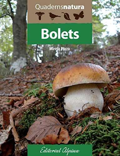 BOLETS. QUADERNS NATURA | 9788480906722 | PLAZA -, MIREIA