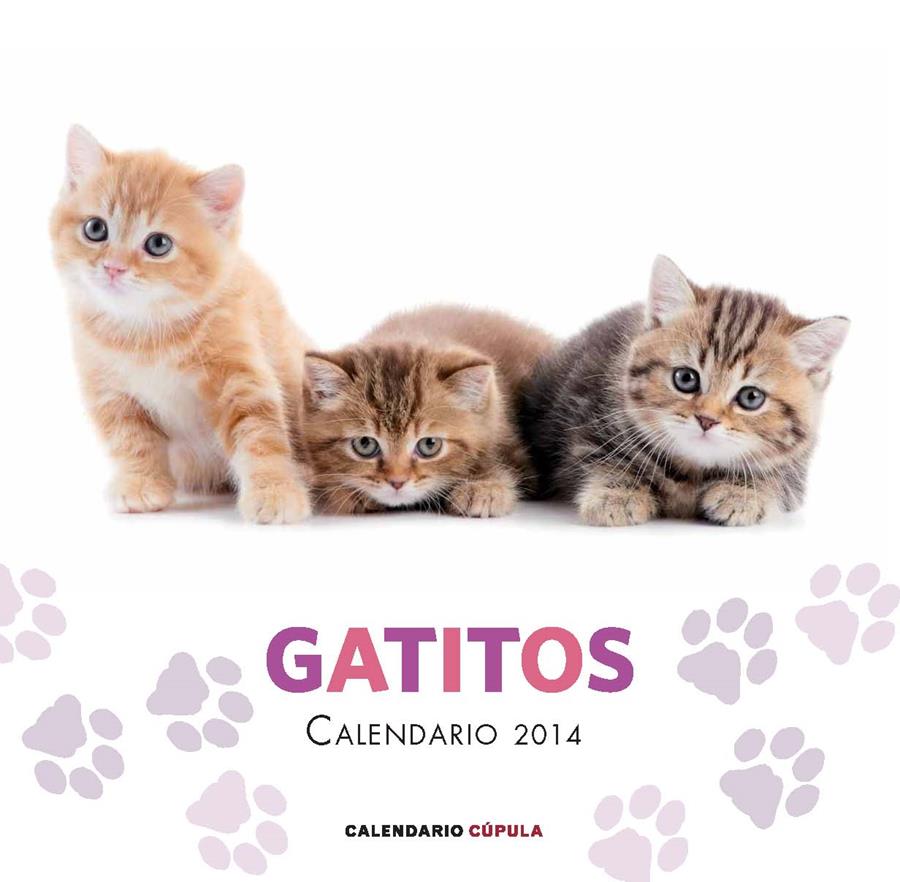 CALENDARIO GATITOS 2014 | 9788448011680 | AA. VV.