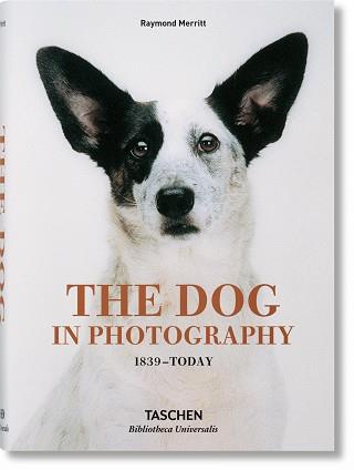 THE DOG IN PHOTOGRAPHY 1839TODAY | 9783836567473 | MERRITT, RAYMOND