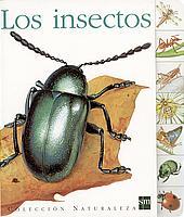 INSECTOS, LOS (NATURALEZA 6) | 9788434889408 | PRUNIER, JAME'S