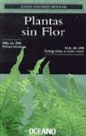 PLANTAS SIN FLOR | 9788449414213 | VARIS