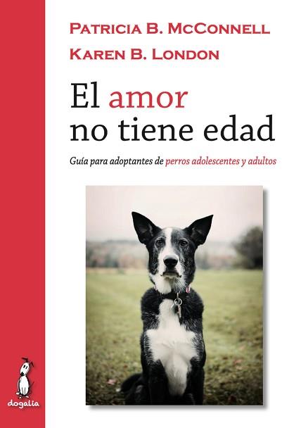 EL AMOR NO TIENE EDAD | 9788494290022 | A.A.V.V.