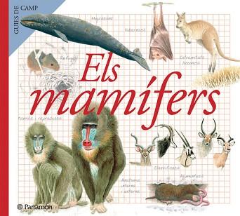 MAMIFERS ELS | 9788434228368 | JULIVERT ZAMARREÑO, ÀNGELS