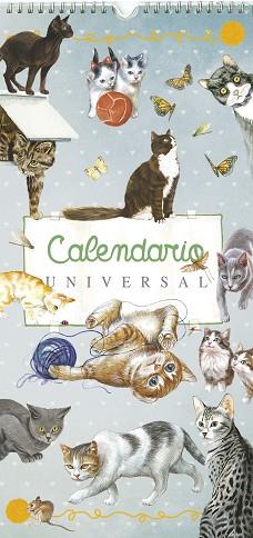 CALENDARIO 2017 UNIVERSAL | 9788490871034 | AA.VV