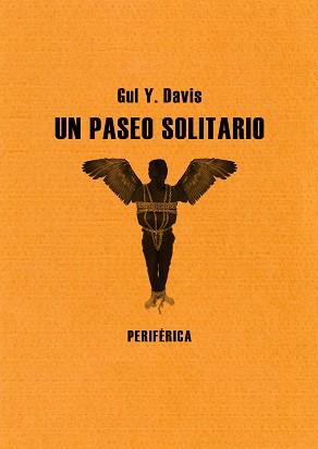 PASEO SOLITARIO UN | 9788493692636 | DAVIS, GUL Y.