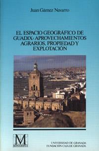 ESPACIO GEOGRAFICO DE GUADIX | 9788433821171 | GAMEZ NAVARRO, JUAN