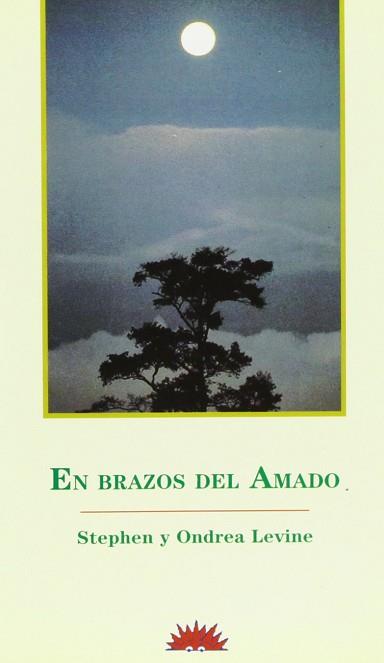 EN BRAZOS DEL AMADO | 9788487598531 | LEVINE, STEPHEN