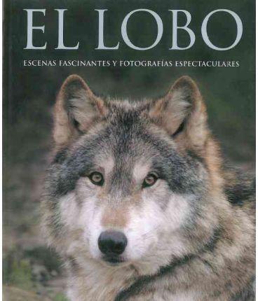 LOBO EL ( ESCENAS FASCINANTES Y FOTOGRAFIAS ESPECTACULARES ) | 9781405489690 | ELLIS, SHAUN / SLOAN, MONTY