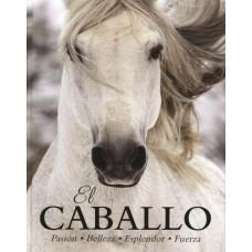 EL CABALLO, PASION, BELLEZA, ESPLENDOR, FUERZ | 9781472372888 | VV. AA.