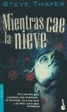 MIENTRAS CAE LA NIEVE (BOOKET) | 9788408043072 | THAYER, STEVE