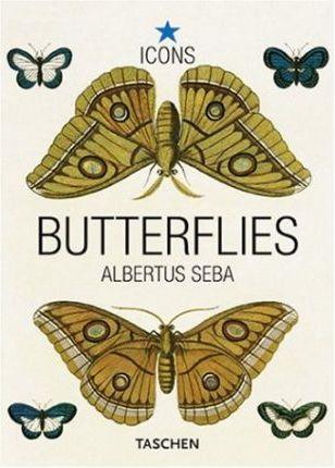 BUTTERFLIES ICONS | 9783822824313 | SEBA, ALBERTUS