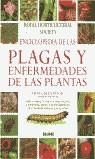 ENCICLOPEDIA DE LAS PLAGAS Y ENFERMEDADES DE LAS PLANTAS | 9788480764322 | GREENWOOD, PIPPA