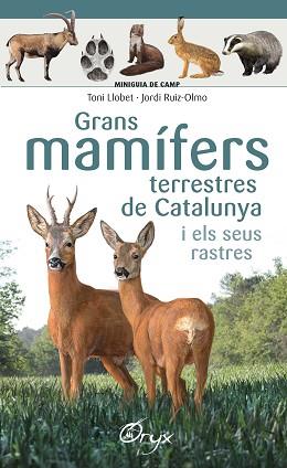 GRANS MAMÍFERS TERRESTRES DE CATALUNYA I ELS SEUS RASTRES | 9788490347881 | LLOBET FRANÇOIS , TONI / RUIZ-OLMO, JORDI