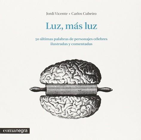 LUZ, MÁS LUZ | 9788416033348 | VICENTE RÓDENAS, JORDI / DÍAZ CUBEIRO, CARLOS