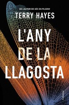 ANY DE LA LLAGOSTA | 9788466432153 | HAYES, TERRY