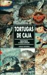 TORUGAS DE CAJA.TERRAPENES Y OTRAS ESPECIES | 9788425511004 | PATTERSON, JORDAN