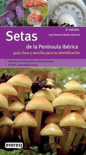 SETAS DE LA PENINSULA IBERICA GUIA CLARA Y SENCILLA | 9788424115050 | MUÑOZ SANCHEZ, JOSE ANTONIO