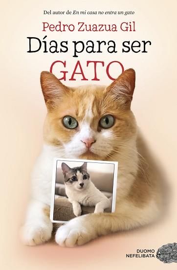 DÍAS PARA SER GATO | 9788417128524 | ZUAZUA GIL, PEDRO