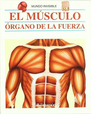 MUSCULO.ORGANO DE LA FUERZA,EL | 9788434217409 | AA.VV.