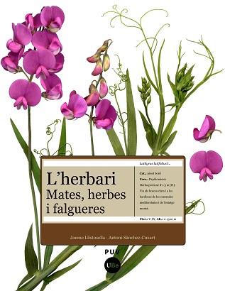 HERBARI MATES HERBES I FALGUERES L' | 9788447531905 | LLISTOSELLA, JAUME / SANCHEZ, ANTONI