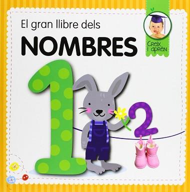 EL GRAN LLIBRE DELS NOMBRES | 9788492882946 | A.A.V.V.