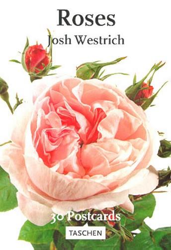 ROSES POSTCARDS | 9783822874240 | WESTRICH, JOSH