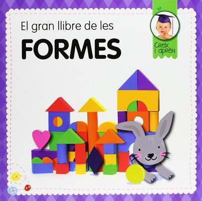 EL GRAN LLIBRE DE LES FORMES | 9788492882939 | A.A.V.V.