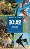 ESCALARES MANUALES DE ACUARIO | 9788425512698 | WALKER, BRAZ