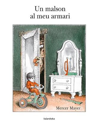 MALSON AL MEU ARMARI | 9788484647713 | MAYER, MERCER