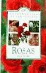 ROSAS | 9788448301583 | GOOLD, ALAN