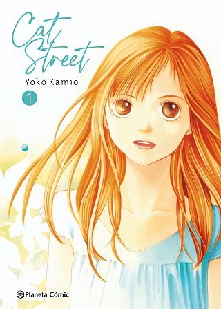 CAT STREET Nº 01/04 | 9788491534624 | KAMIO, YOKO