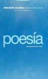 POESIA OBRAS COMPLETAS 1 VALVERDE (RUSTEGA) | 9788481642179 | VALVERDE, JOSE MARIA