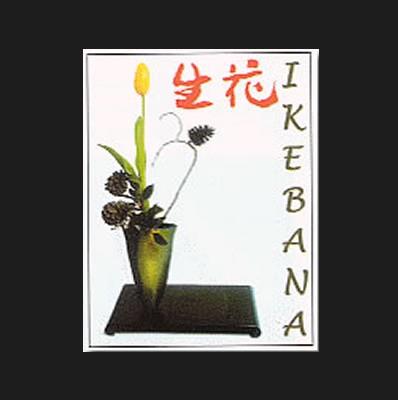 IKEBANA | 9788495275608 | VARIS