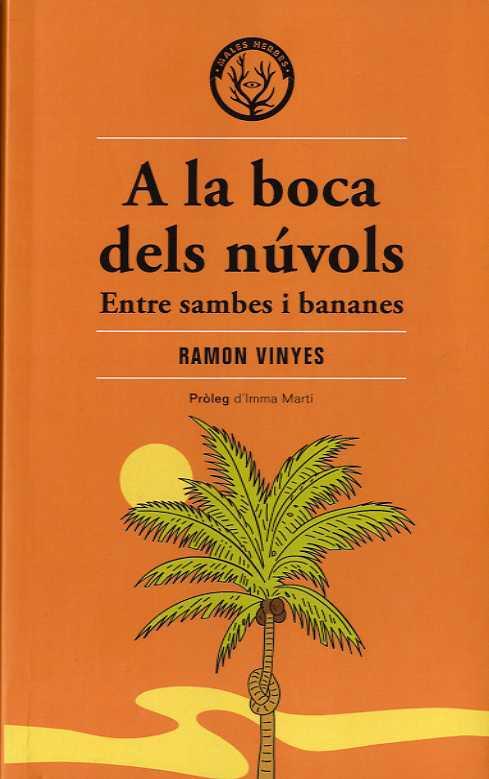 A LA BOCA DELS NÚVOLS | 9788412316582 | VINYES CLUET, RAMON