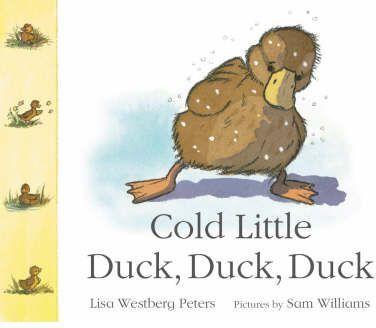 COLD LITTLE DUCK DUCK DUCK (PBK) | 9780333960554 | WESTBERG / WILLIAMS