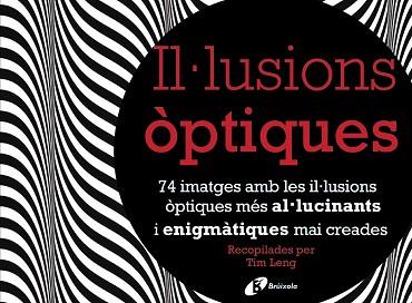 IL·LUSIONS ÒPTIQUES | 9788499066295 | LENG, TIM