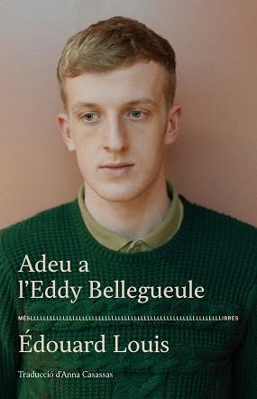 ADEU A L'EDDY BELLEGUEULE | 9788417353544 | LOUIS, EDOUARD