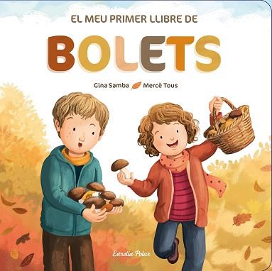 MEU PRIMER LLIBRE DE BOLETS | 9788413892542 | SOMNINS