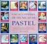 ENCICLOPEDIA DE TECNICAS DE PASTEL $ | 9788486673635 | MARTIN, JUDY