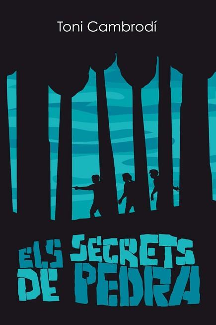 ELS SECRETS DE PEDRA  "SEEBOOK" | 9788494494956 | VV.AA.