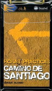 CAMINO DE SANTIAGO | 9788498291858 | ALONSO, JUANJO